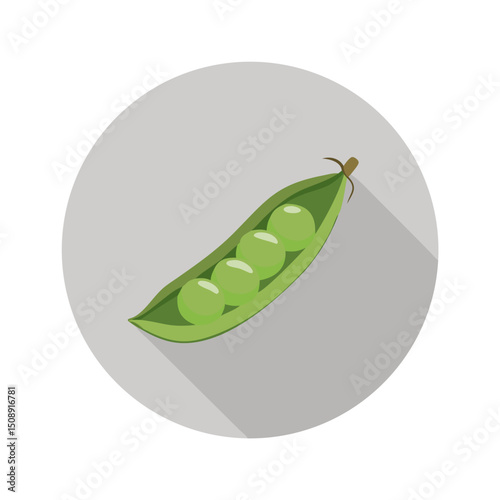 Flat Green Peas in Pod Icon

