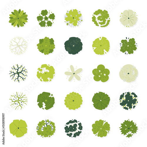 illustration set top view of tree isolated on white background.