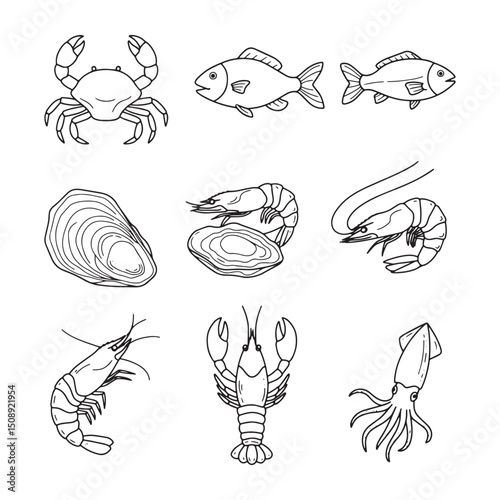 Seafood Line Art Illustrations Crabs, Fish, Shrimp, Lobster, Oysters, and Squid