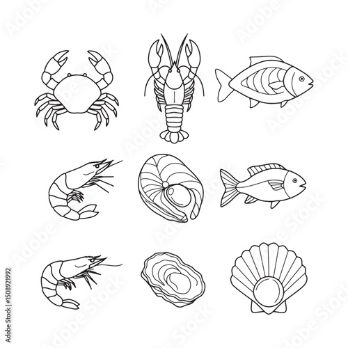 Seafood Illustrations Line Art Drawings of Crabs, Lobsters, Shrimp, Fish, and Oysters