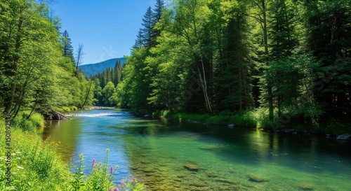 Clean river in green forest under blue sky | nature landscape | world environment day | environment day poster | world environment day drawing 4k hd high quality nature wallpaper background