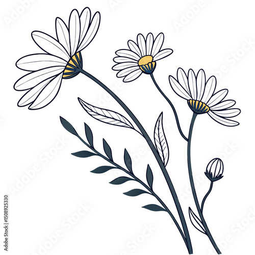 Minimal Daisy Flower Vector for Decorative Art