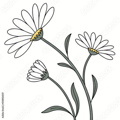 Elegant Daisy Flower Vector with Stem