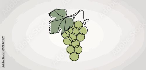Single Line Drawing of Green Grapes with Leaf