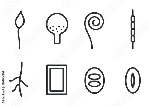 Botanical line art collection for minimalist nature designs