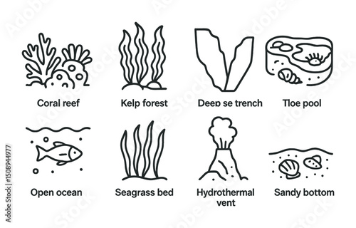 Marine ecosystems illustrated icons for educational use