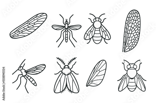 Insect vector set: detailed line art illustrations of various insects for design