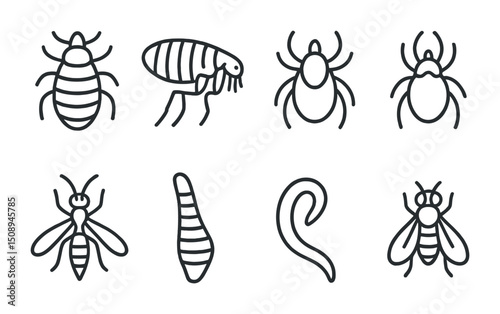 Collection of common insect pests and parasites for identification and study