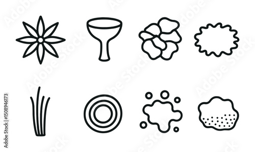 Decorative element icons for design – floral, geometric, natural patterns