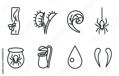 Collection of insect and plant line art illustrations for design projects