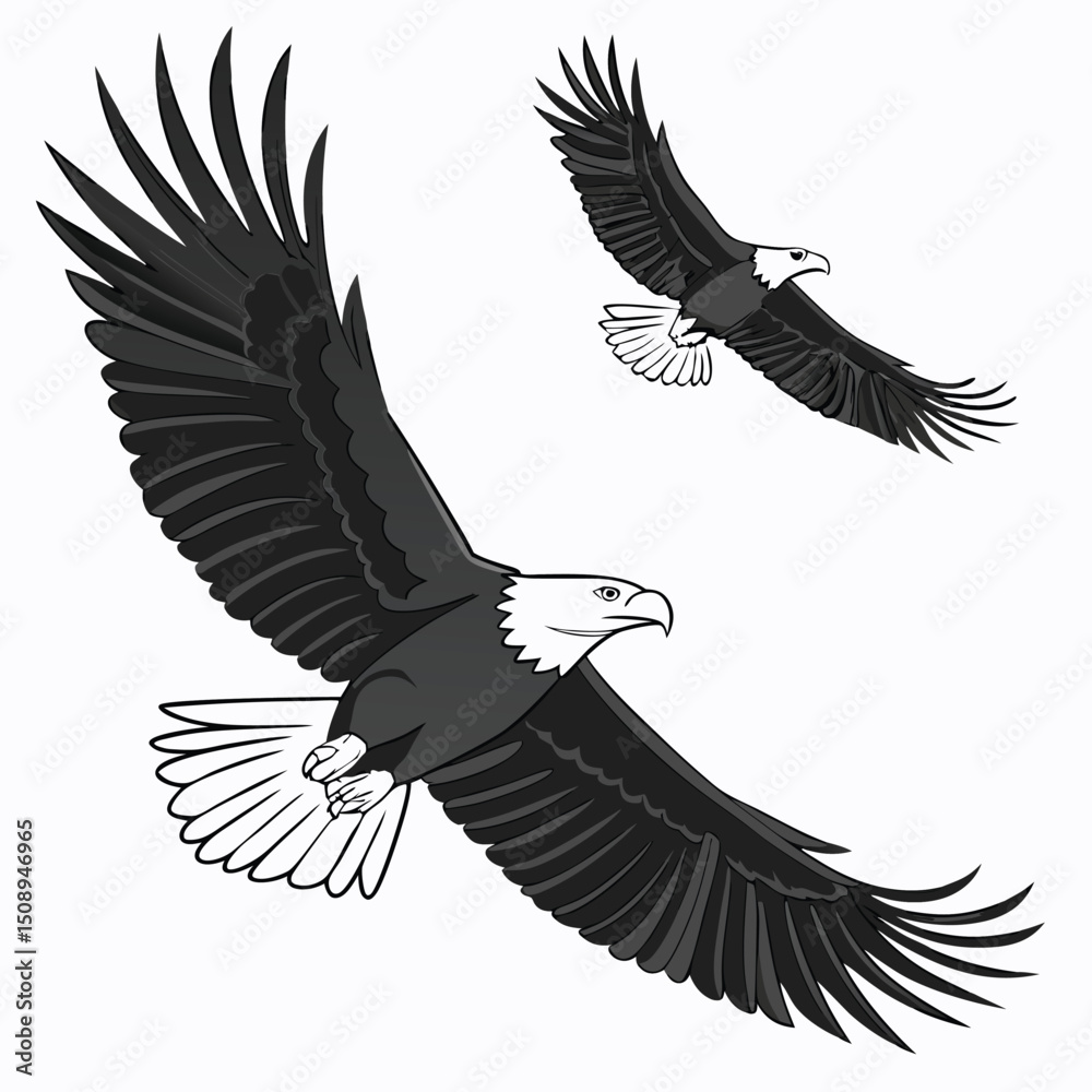Fototapeta premium American bald eagles flying with open wings vector illustration isolated
