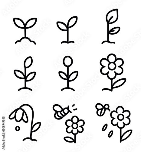 Floral Growth Icons. Outline icon set of floral growth stages: seedling, tiny sprout, leaf unfolding