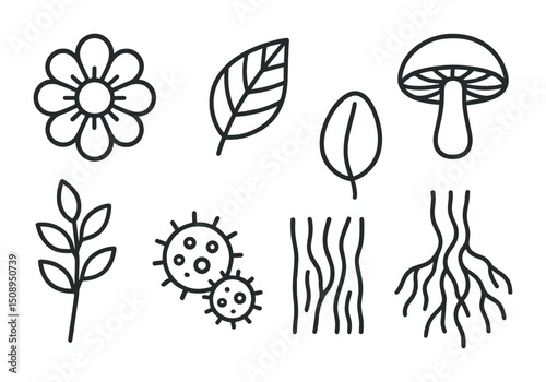 Botanical and natural elements for design and decoration
