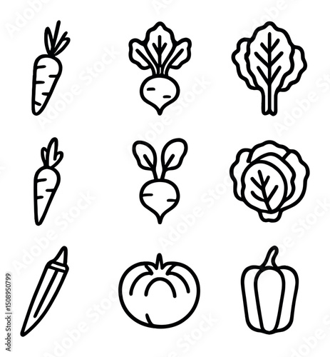 Heirloom Vegetables Icons. Outline icon set of heirloom vegetables: carrot, beet, kale, parsnip, radish, lettuce head, okra,