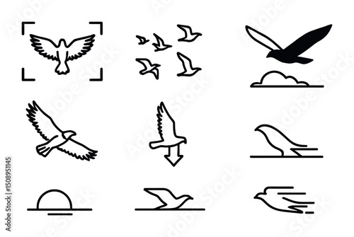 Minimalist bird icons collection for graphic design projects and nature themes