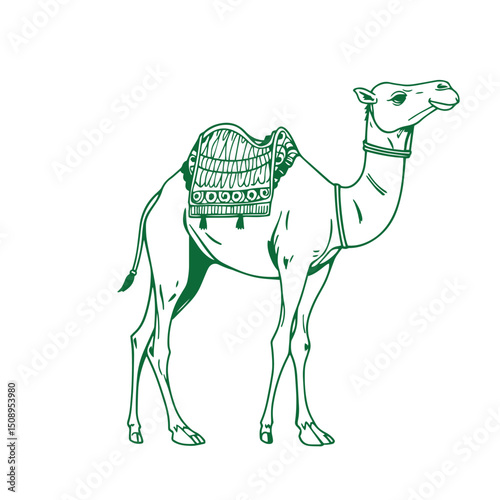 Arabian camel drawing illustration vector logo silhouette design.