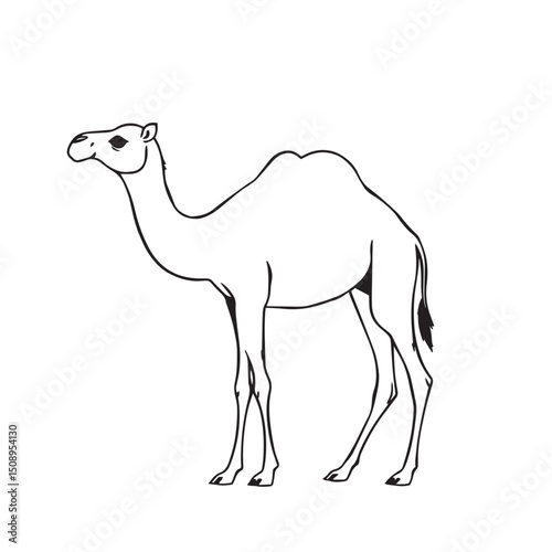 Arabian camel drawing illustration vector logo silhouette design.