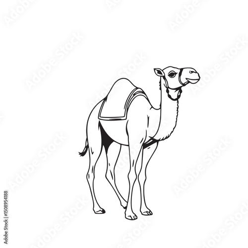 Arabian camel drawing illustration vector logo silhouette design.