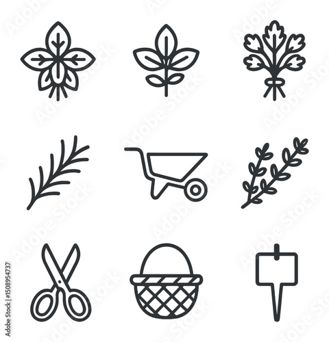 Herb Harvest Icon Set. Outline icon set of herb and greens harvest cart: basil bunch, mint sprig, parsley bunch, rosemary twig,
