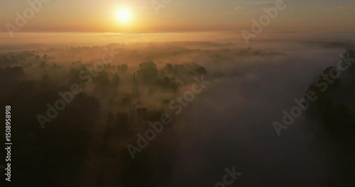 Aerial view of the morning mist and rising sun on the natural Drava River and forested floodplain