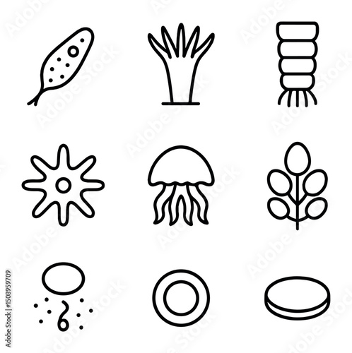 Pelagia Lifecycle Icons. Outline icon set of Pelagia lifecycle stages: planula larva, scyphistoma polyp, strobila segment, ephyra
