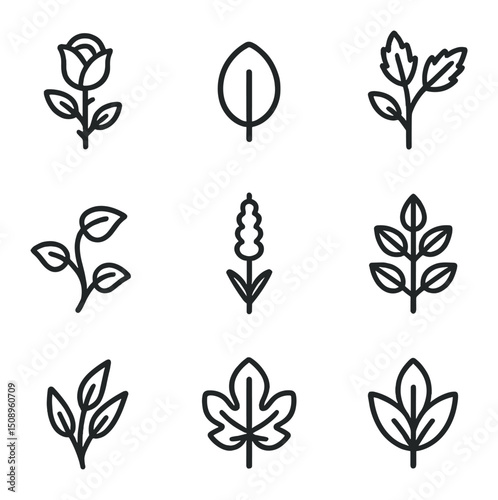 Plant Cutting Icons. Outline icon set of plant species for cuttings: rose stem, succulent leaf, coleus shoot, pothos vine,