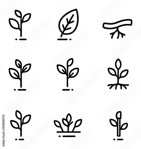 Plant Cutting Icons. Outline icon set of propagation cutting types: stem cutting, leaf cutting, root cutting, hardwood cutting,