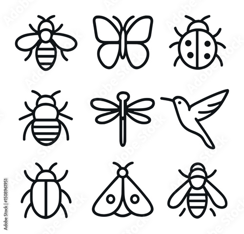 Pollinator Icon Set. Outline icon set of pollinators: honeybee, butterfly, ladybug, bumblebee, dragonfly, hummingbird, beetle,