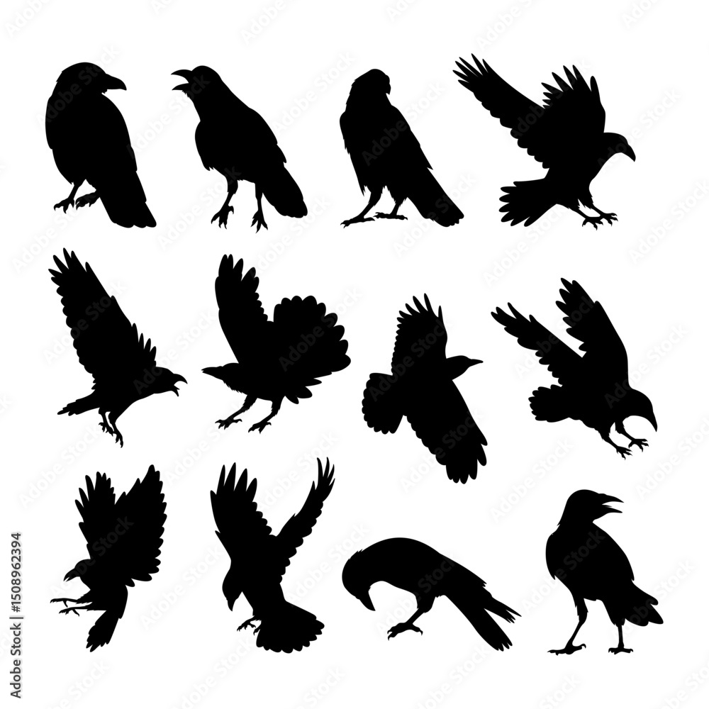 Obraz premium crow bird silhouettes collection set