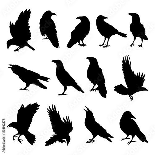crow raven bird silhouettes