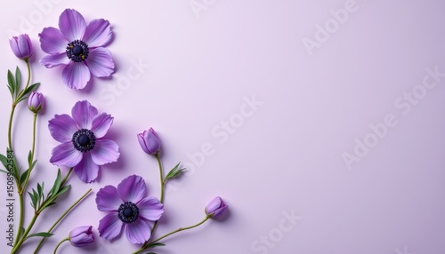 A purple flower arrangement with a purple background