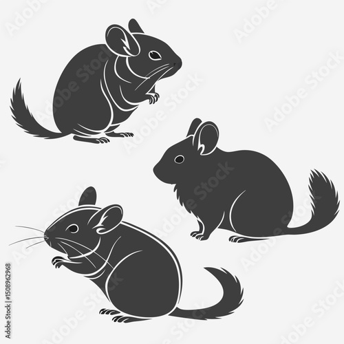 Cute chinchilla silhouettes vector set rodent pet animal illustration wildlife nature