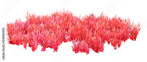 3D Rendering Alien Plant on White
