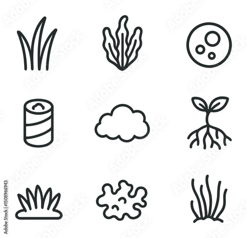 Reef Plant Icons. Outline icon set of reef plants and algae: seagrass blade, macroalgae frond, microalgae cell, seaweed wrap,