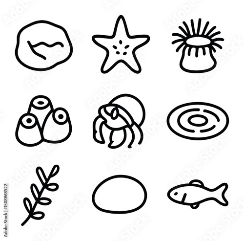 Tide Pool Icons. Outline icon set of tide pool exploration: tide pool rock, starfish, sea anemone, barnacle cluster, hermit crab,