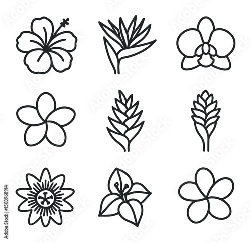 Tropical Flower Icons. Outline icon set of tropical flower blooms: hibiscus, bird of paradise, orchid, plumeria, heliconia, ginger