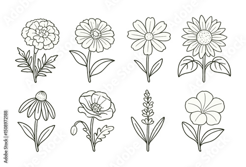 Hand drawn floral patterns for coloring books and craft designs