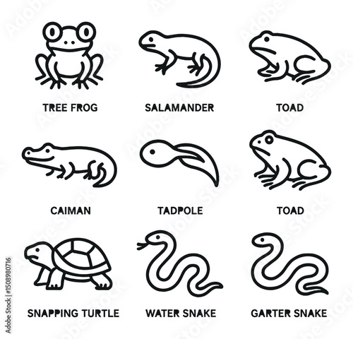 Swamp Creatures Icons. Outline icon set of swamp amphibians and reptiles: tree frog, salamander, newt, caiman, tadpole, toad,