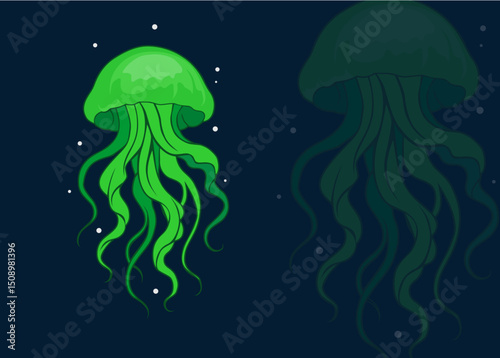 jellyfish illustration vector...