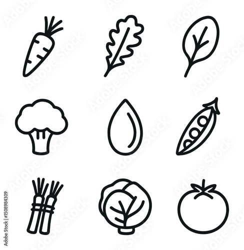 Vitamin Mineral Icons Grid. Outline icon set of essential vitamins and minerals: vitamin A carrot, vitamin K kale leaf, iron