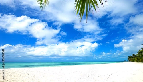 movement through palm leaves forward along the beach, towards the water, towards the waves on the sandy shore of a tropical island