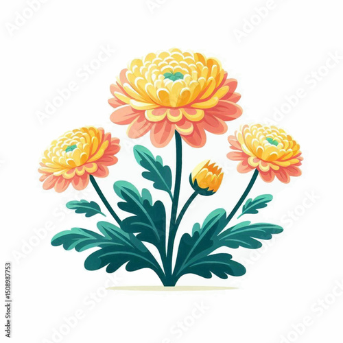 Floral arrangement with yellow and peach chrysanthemums and bluegreen leaves centrally composed on a white background