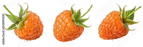 Set of A Orange Berry Fruit's Unique Beauty isolated on a transparent background