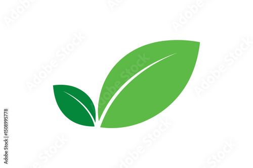 Two green leaves with white background here