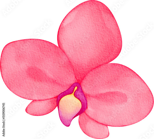 Fototapeta Naklejka Na Ścianę i Meble -  watercolor orchid flower