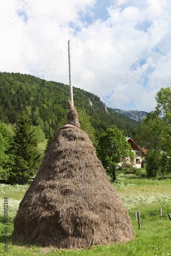 Loose stacked hay in Vercors massif, France	

