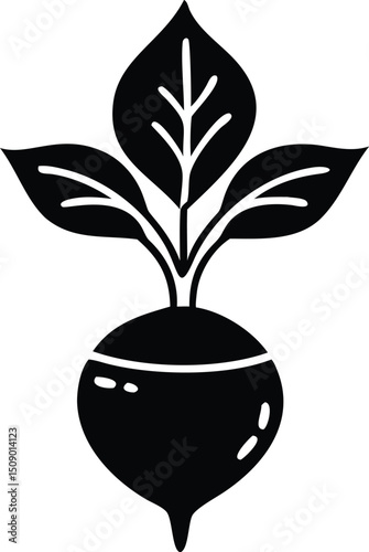 Black turnip root with green leaves is presented on a clean transparent background