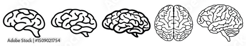 Human Brain Outline Icon Set – Neuroscience, Intelligence, Medical, Psychology, and Tech Concepts in Simple Line Art for Infographics and UI Design