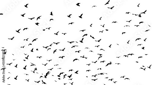 Abstract illustration of flying birds against a black and white background with falling snowflakes and stars
