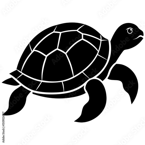 turtle vector illustration on a white background.